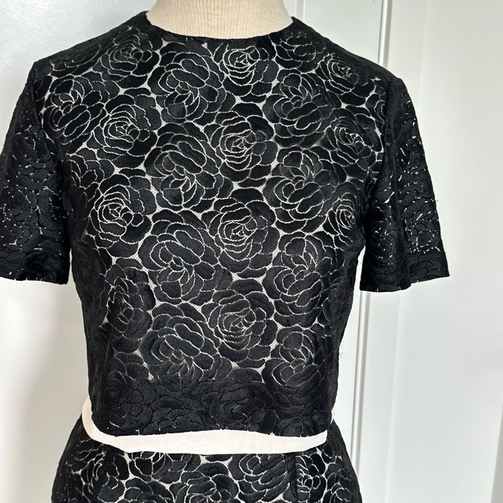 A.L.C. ALC Thompson Black Lace Overlay Pencil Skirt & Top Set Womans Sz 2 - Picture 3 of 16